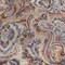 1 Yard Rose and Gold Jacobean Floral Cotton Gauze Neurons Firing Fabric 55 inch Width